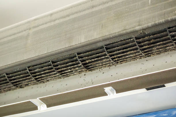 Best Commercial Air Duct Cleaning  in Dudley, NC